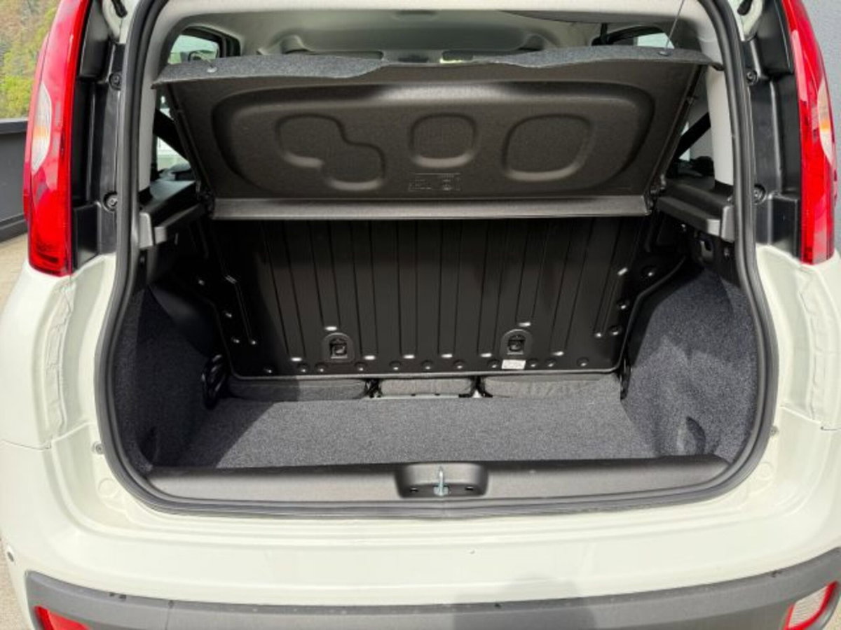 Fiat Pandina van 1.0 Hybrid 65cv S&S Icon (6)
