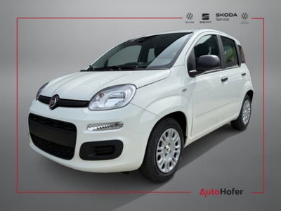 Fiat Pandina 1.0 firefly hybrid Icon s&s 65cv nuova