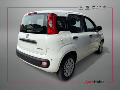 Fiat Pandina 1.0 firefly hybrid Icon s&s 65cv (3)