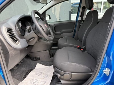 Fiat Pandina 1.0 firefly hybrid Icon s&s 65cv (4)