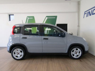 Fiat Panda 1.0 firefly hybrid s&s 70cv 5p.ti (14)