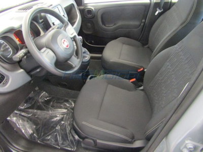 Fiat Panda 1.0 firefly hybrid s&s 70cv 5p.ti (8)