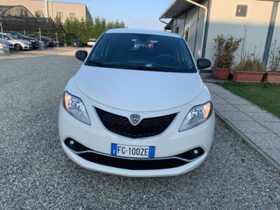 Lancia Ypsilon 1.2 69 CV 5 porte Platinum (2)