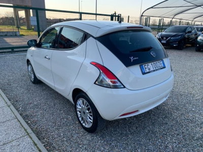 Lancia Ypsilon 1.2 69 CV 5 porte Platinum (7)