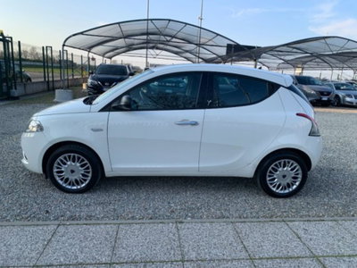 Lancia Ypsilon 1.2 69 CV 5 porte Platinum (8)