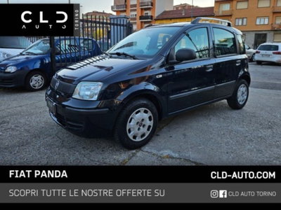 Fiat Panda 1.2 Active usata