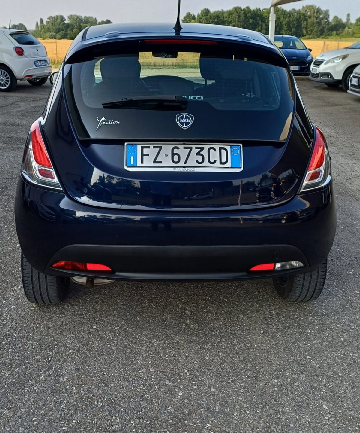 Lancia Ypsilon 1.2 69 CV 5 porte GPL Ecochic Platinum (6)