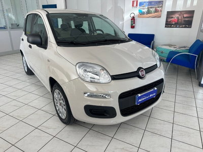 Fiat Panda 1.2 Easy usata