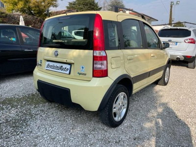 Fiat Panda 1.2 Climbing Natural Power (6)