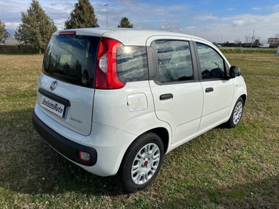 Fiat Panda 1.0 FireFly S&S Hybrid City Cross (6)