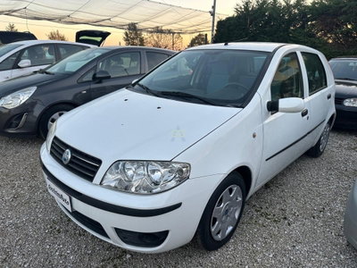 Fiat Punto 1.3 Multijet 16V 5 porte Dynamic (3)