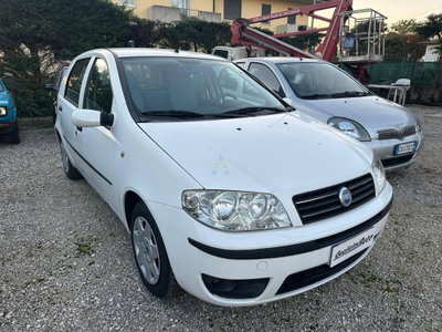 Fiat Punto 1.3 Multijet 16V 5 porte Dynamic (5)