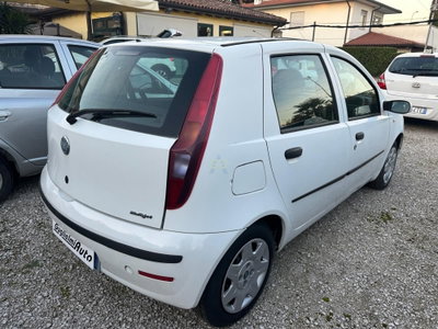 Fiat Punto 1.3 Multijet 16V 5 porte Dynamic (6)