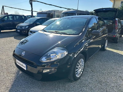 Fiat Punto 1.3 MJT II 75 CV 5 porte Street (3)