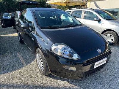 Fiat Punto 1.3 MJT II 75 CV 5 porte Street (4)