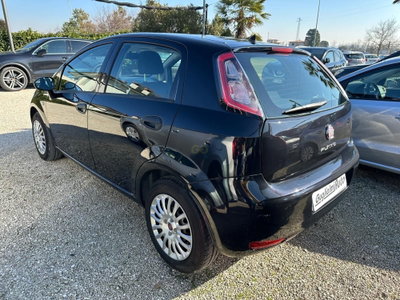 Fiat Punto 1.3 MJT II 75 CV 5 porte Street (7)