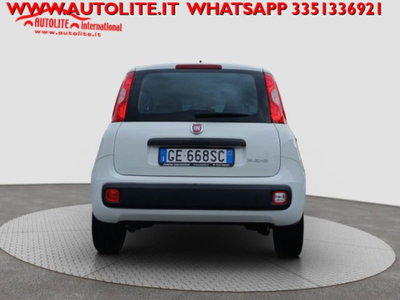 Fiat Panda 1.0 firefly hybrid s&s 70cv 5p.ti (12)