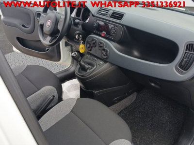 Fiat Panda 1.0 firefly hybrid s&s 70cv 5p.ti (15)