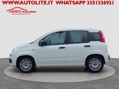 Fiat Panda 1.0 firefly hybrid s&s 70cv 5p.ti (2)