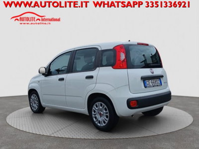 Fiat Panda 1.0 firefly hybrid s&s 70cv 5p.ti (3)
