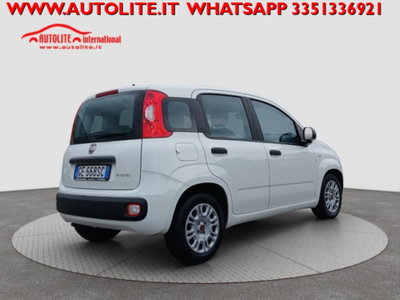 Fiat Panda 1.0 firefly hybrid s&s 70cv 5p.ti (4)