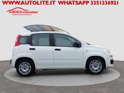 Fiat Panda 1.0 firefly hybrid s&s 70cv 5p.ti (5)