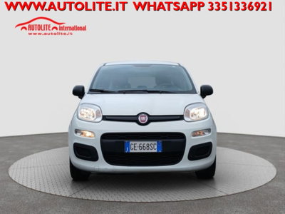 Fiat Panda 1.0 firefly hybrid s&s 70cv 5p.ti (7)
