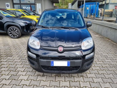 Fiat Panda 1.0 firefly hybrid s&s 70cv 5p.ti usata