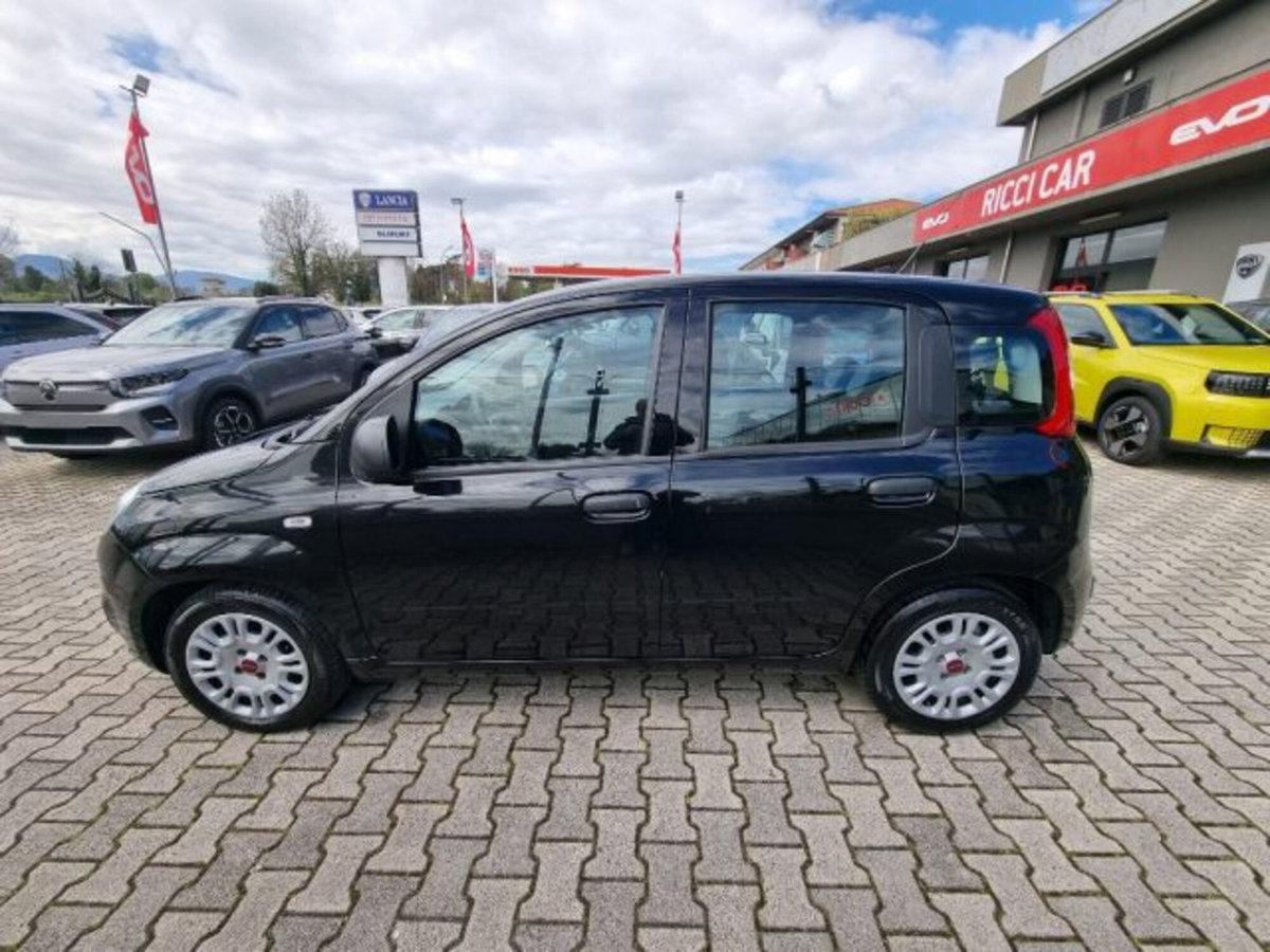 Fiat Panda 1.0 firefly hybrid s&s 70cv 5p.ti (3)