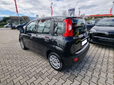 Fiat Panda 1.0 firefly hybrid s&s 70cv 5p.ti (4)