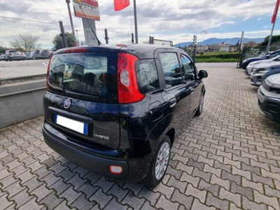 Fiat Panda 1.0 firefly hybrid s&s 70cv 5p.ti (6)
