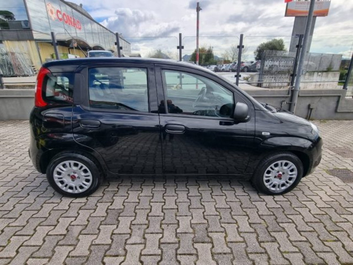 Fiat Panda 1.0 firefly hybrid s&s 70cv 5p.ti (7)