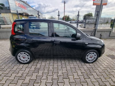Fiat Panda 1.0 firefly hybrid s&s 70cv 5p.ti (7)
