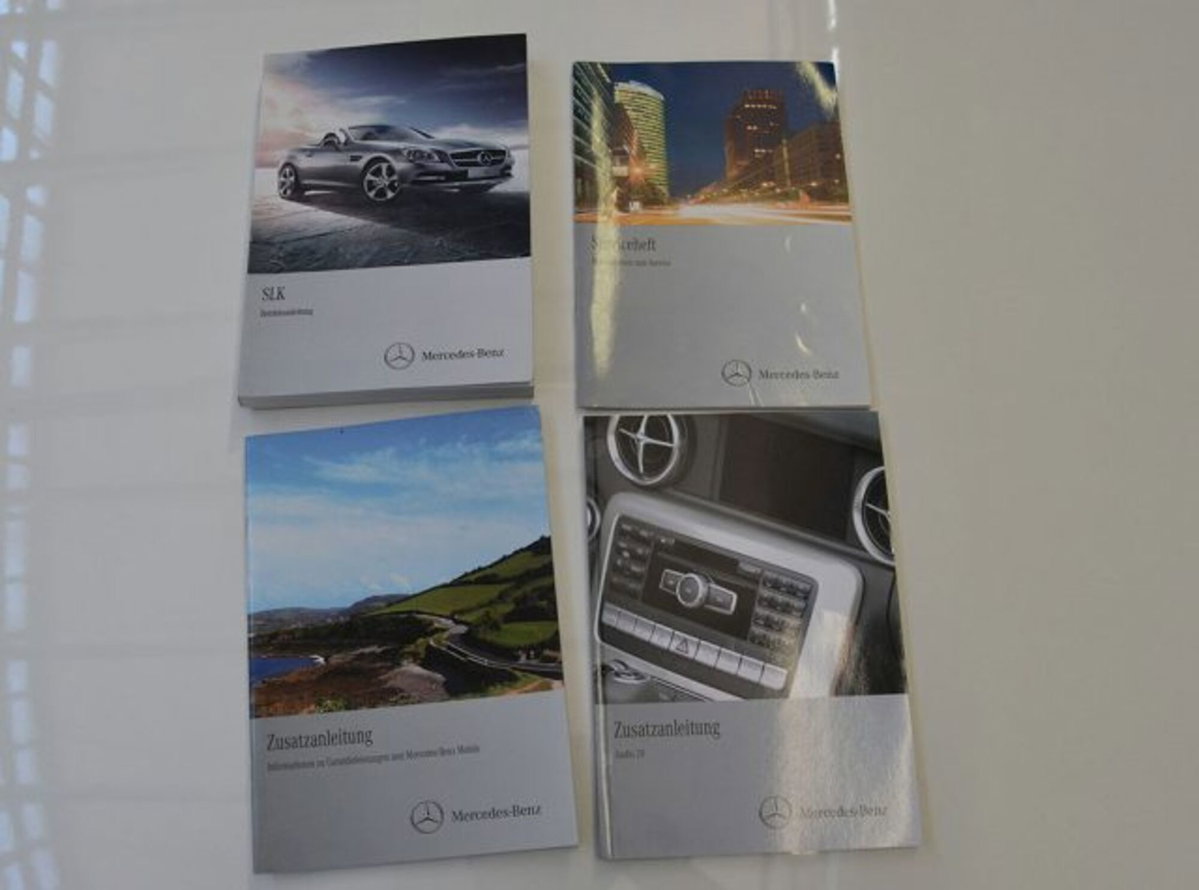Mercedes-Benz SLK 250 BlueEFFICIENCY Sport (10)
