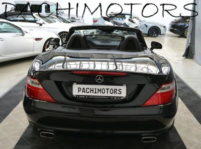 Mercedes-Benz SLK 250 BlueEFFICIENCY Sport (14)
