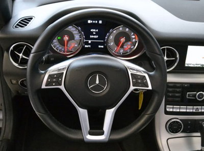 Mercedes-Benz SLK 250 BlueEFFICIENCY Sport (8)