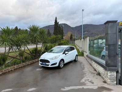 Ford Fiesta 1.5 TDCi 75CV 5 porte Titanium usata