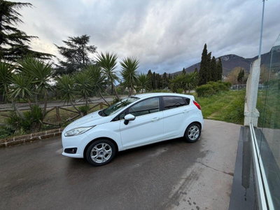 Ford Fiesta 1.5 TDCi 75CV 5 porte Titanium (2)