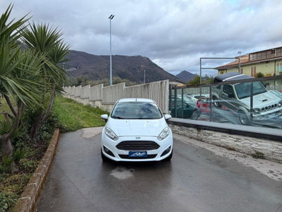 Ford Fiesta 1.5 TDCi 75CV 5 porte Titanium (3)