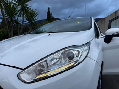Ford Fiesta 1.5 TDCi 75CV 5 porte Titanium (6)