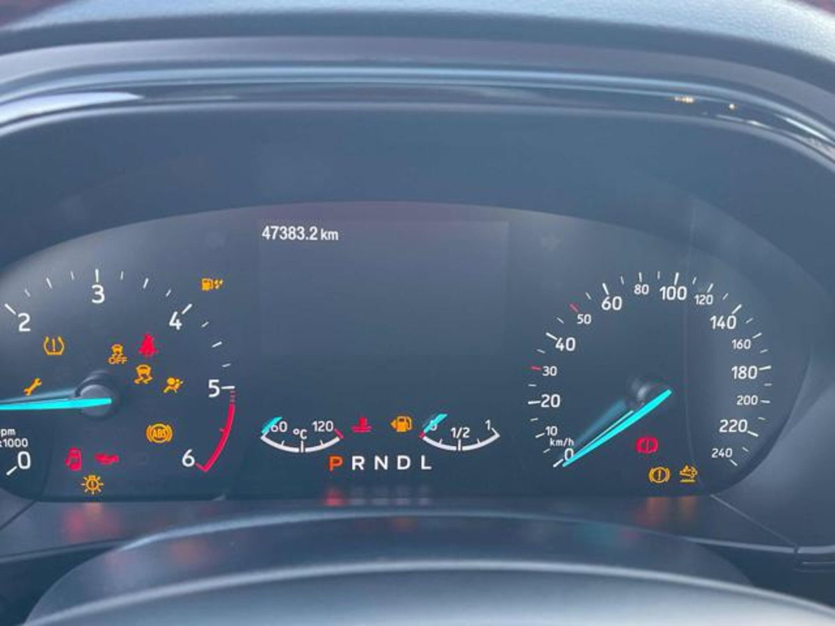 Ford Focus 1.5 EcoBlue 115 CV automatico 5p. ST-Line Style (10)