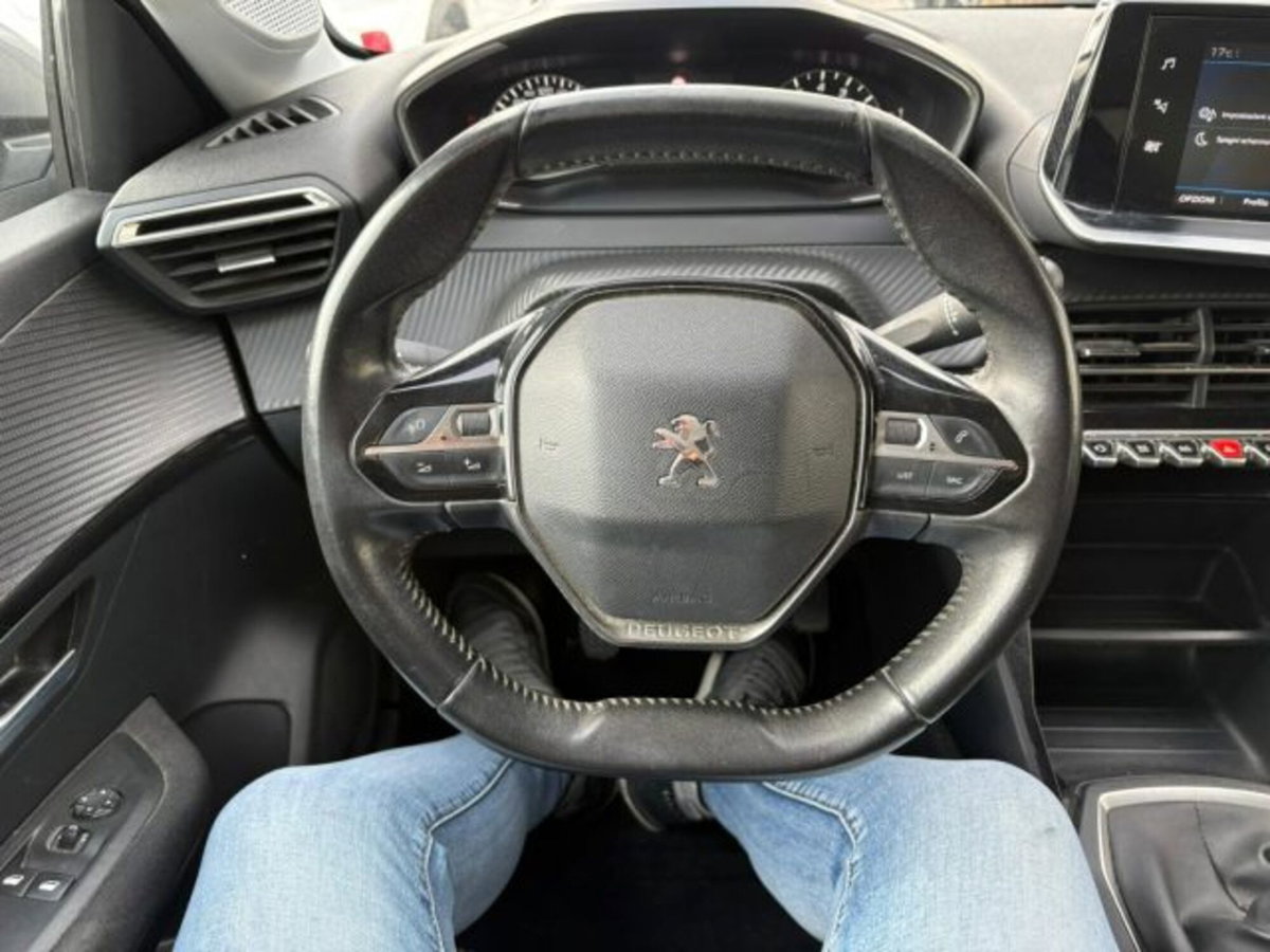 Peugeot 208 BlueHDi 100 Stop&Start 5 porte Active Pack (9)