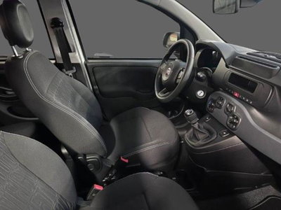 Fiat Panda 1.0 firefly hybrid s&s 70cv 5p.ti (2)