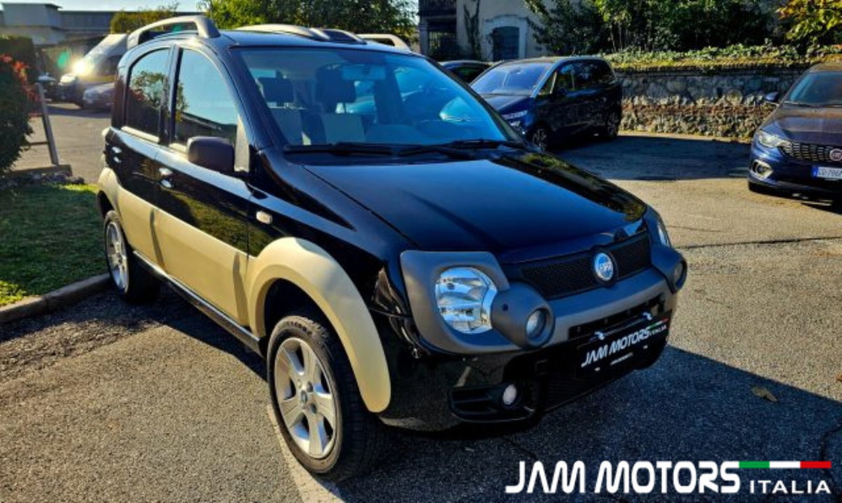 Fiat Panda 1.3 MJT 16V 4x4 Cross (2)