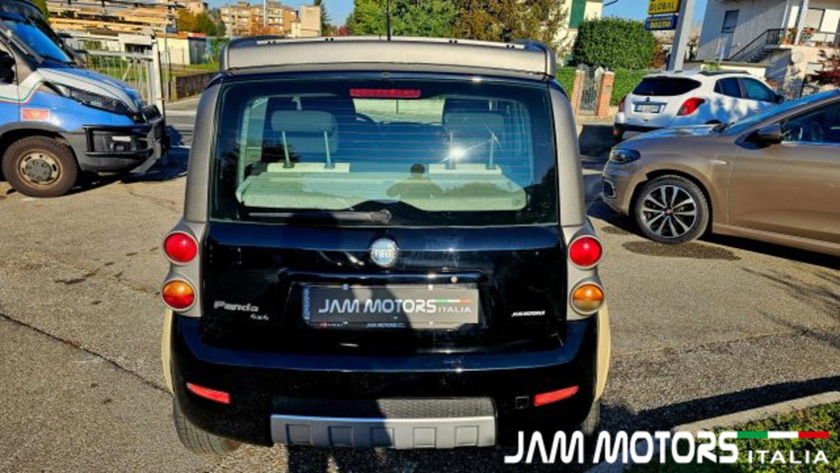 Fiat Panda 1.3 MJT 16V 4x4 Cross (6)