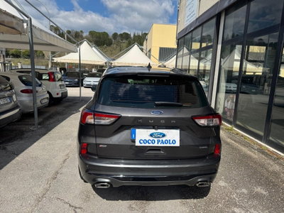 Ford Kuga 2.5 Full Hybrid 190 CV CVT 2WD ST-Line Design (4)