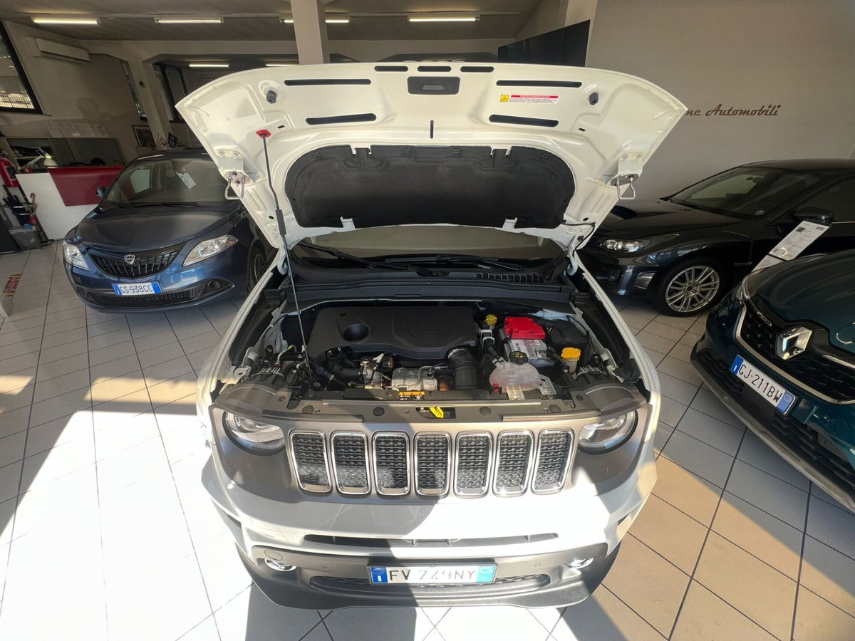 Jeep Renegade 1.3 T4 DDCT Limited (8)