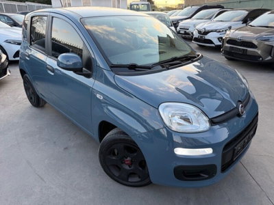Fiat Panda Cross Cross 1.0 FireFly S&S Hybrid usata