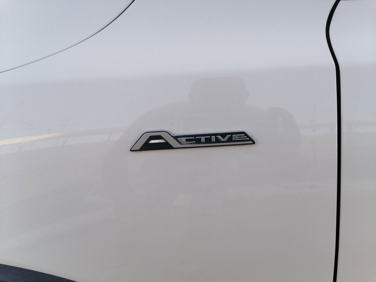 Ford Focus 1.5 EcoBlue 120 CV automatico 5p. Active V Co-Pilot (11)