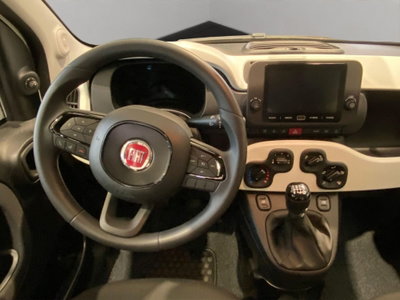 Fiat Pandina 1.0 firefly hybrid s&s 70cv (10)